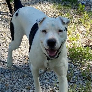 Meet your Posher, Tabitha